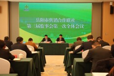 谋划监督新篇章：岳阳市供销合作联社第三届监事会第一次全体会议召开