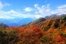桑植县筑牢生态环境分区管控屏障探索“两山”转化新路径