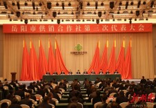 奋力谱写供销事业高质量发展新篇章，岳阳市供销合作社第三次代表大会开幕