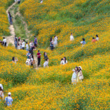 为无价山水标价 让沉睡资源变现——怀化市生态产品价值实现机制试点观察