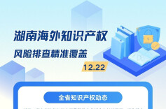 湖南海外知识产权风险排查实现精准覆盖