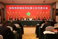 岳阳市供销合作社第三次代表大会胜利闭幕