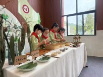 岐黄新芽②｜​振翩先生的心愿实现了！这所学校把中医药玩成