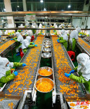 Citrus Processing Industry Helps Farmers Increase Income