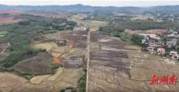 祁阳：推进高标准农田建设 夯实粮食安全根基