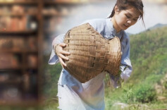 风起湖湘潮·委员讲亲历丨黄新月：千年茶韵新化红，一片匠心世代传