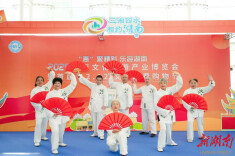 “惠”聚精彩 乐游湖南——东湖街道龙马社区太极队助力2025湖南旅博会