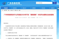 2026年“国补”推进！十余个城市开始行动！专家：补贴力度较今年或有所减弱