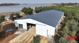 望城实施补短板项目，农村枯枝废木“变废为宝”“点木成金”