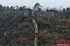 登高、健步、赏景……近千名爱好者在凤凰尽享运动周末