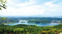 “一碗水端平”的嘉禾之法