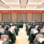  谢卫江参加平江县代表团审议