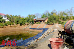 堰塘“焕活”润民心 漆河镇勒马山村绘就水利惠民新画卷