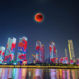 我的2025 | 胡立强：“抓拍”追求真实，“角度”发现美感