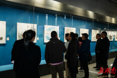 湖湘花鸟遇醴陵瓷，这场艺术展点亮三湘新春