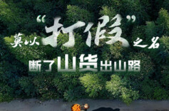 从“个案痛点”到“制度建言”：主流媒体护航山货出山实践探索