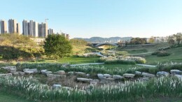 当葡萄园长出“灯塔工厂”