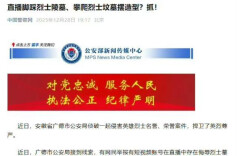 芙蓉国评论 | 脚踩烈士墓？法律不轻饶！