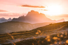 在低谷中默默蓄力