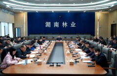 省林业局召开2025年全省林业系统安全生产和森林防火工作视频会议