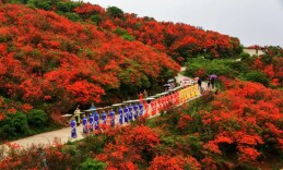 张跃斌：奋力推进中国式现代化双牌实践