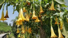 申瑞瑾：淦田记