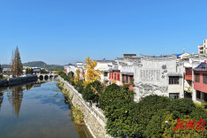 以水为笔，绘就南村村共富新图景