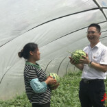 金融活水润沃野：攸县农商行破解乡土金融困局的振兴之路