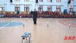 怀熙小学开展科技节活动