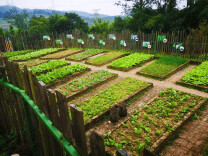 观点 | 用“共享菜园”打造休闲经济新场景