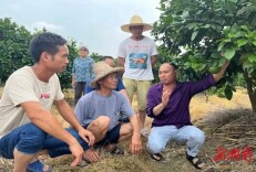 江永银发人才发光发热