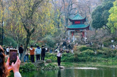 Winter's Serene Charm at Yuelu Mountain