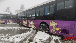 张家界国家森林公园迎来今冬首场降雪