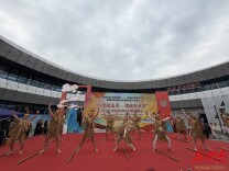 张家界游客中心“秒变”“土家年味集市” 近200名非遗传承人迎新年