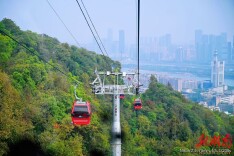 麓山冬韵焕新颜岳麓山文旅融合再升级