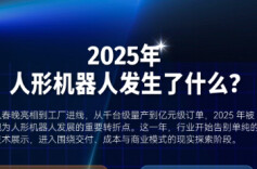 盘点人形机器人2025四大变化：落地更务实，刚需场景未明