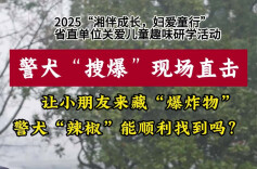 萌娃“藏宝”遇警犬“辣椒”：闻一下，就知道轮胎有“货”！ 