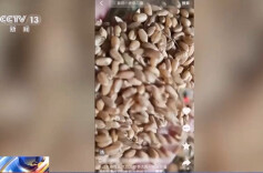 反诈最前沿丨新型“购粮洗钱”骗局曝光 