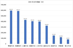 新势力年终交卷：零跑近60万辆夺冠，蔚来、小鹏创历史新高
