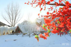 门头沟清水镇“北京雪乡”迎新年 打造冰雪主题文旅新体验