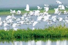 全国首个！湖南为江河湖库定界立规