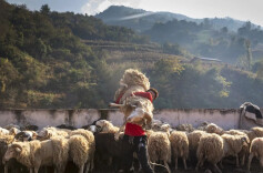 新年第一帧丨用镜头与世界干杯，每个人都是自己生活的艺术家！