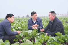 “老百姓支持的事，再难也要干成”——记“全省担当作为优秀干部”王先波