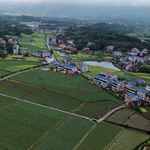 茶陵被授予“国家生态文明建设示范区”