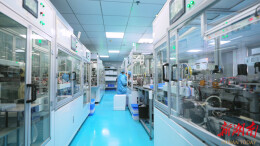 鹤城区：企业开足马力冲刺新年“开门红”