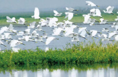 全国首个！湖南为江河湖库定界立规