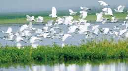 湘伴丨全国首个！湖南为江河湖库定界立规