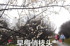 读报|1月5日《三湘都市报》版面速览