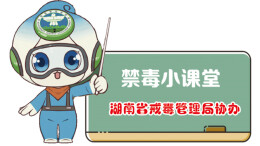 禁毒漫画⑧｜迷幻蘑菇