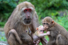 大美绽放！国家公园法施行